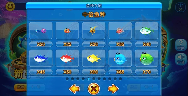 倍率以及集中判定永遠是捕魚遊戲要先掌握的重點